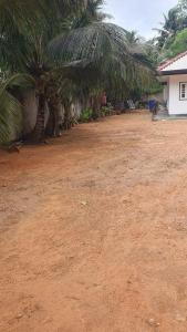 a dirt yard with palm trees and a house at Madiha Sampath Surf Villa in Matara +4 photos