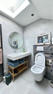a bathroom with a toilet and a sink and a mirror at Slapen bij de Zeeuwse Lala in IJzendijke +119 photos