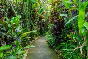 Zahrada ubytování Kausala Bisma Ubud