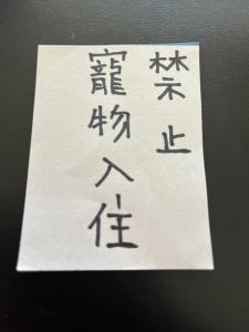 小琉球岛天南民宿的相册照片