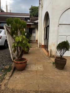 two potted trees sitting on a sidewalk next to a building at KHAL HOST HUB in Nairobi