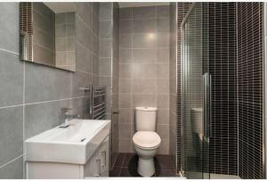 a bathroom with a toilet and a sink and a shower at Comfortable one-bedroom apartment Free parking space in Edinburgh