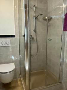 łazienka z prysznicem i toaletą w obiekcie Appartement Fischer w mieście Sankt Johann in Tirol
