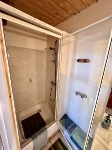 eine Dusche mit Glastür im Badezimmer in der Unterkunft Le Mas Du Gentilhomme Chambre Glycine in Orthoux-Sérignac-et-Quilhan