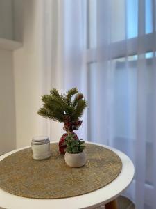 Fotografia z galérie ubytovania Apartman Emilija v destinácii Divčibare