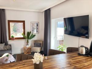 TV i/ili multimedijalni sistem u objektu SeeBrauer