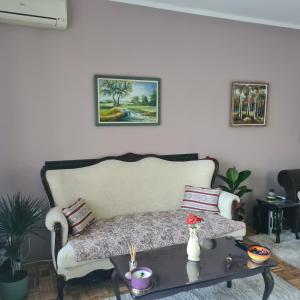 Zona d'estar a Apartman EXKLUZIV