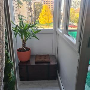 Balcó o terrassa a Apartman EXKLUZIV