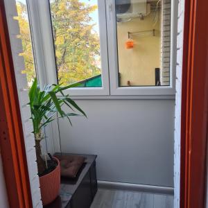 Foto de la galeria de Apartman EXKLUZIV a Čačak