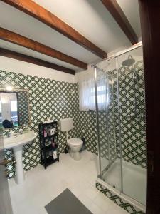 a bathroom with a shower and a toilet and a sink at CHALLET AZENHAS in Bolembre de Baixo +34 photos