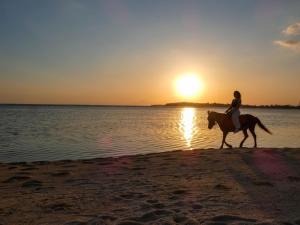 a woman riding a horse on the beach at sunset at La Siesta bungalows ONLY ADULTS in Gili Air