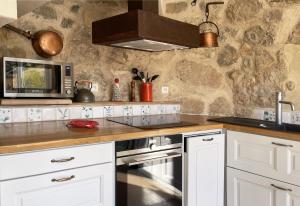 a kitchen with a stove and a microwave at Le Colombier Saint-Véran in La Roque-Sainte-Marguerite