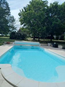 a large blue swimming pool with trees in the background at Au jardin de Florentine in Ingrandes-de-Touraine +22 photos
