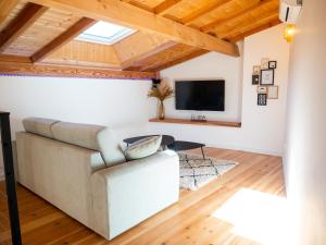 a living room with a couch and a tv at Les Gites d'Andréa- Chez les Fifou in Surba
