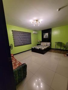 AltavasY&M Hotel Inn ALTAVAS AKLAN的一间设有床铺和绿色墙壁的客房