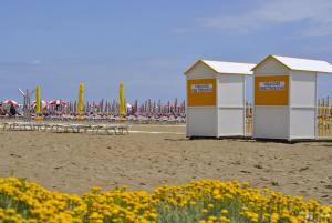 a row of buildings on a beach with yellow flowers at Residence Braida in Caorle