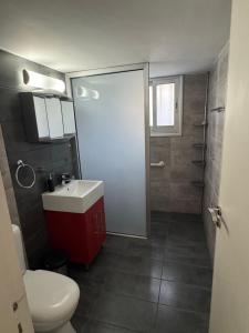 a bathroom with a toilet and a sink and a shower at Georges 2 Bedroom Apartment in Limassol