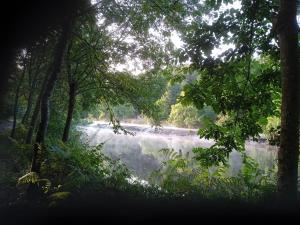 a view of a river through a group of trees at Comme à la maison in Tiffauges