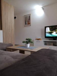 Μια τηλεόραση ή/και κέντρο ψυχαγωγίας στο Apartman Orijent