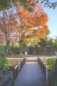 Taman di luar 民宿初星