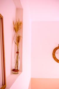 Foto dalla galleria di Nature House a Al Ḩamrāʼ