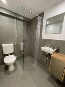 a bathroom with a toilet and a shower and a sink at Heimathafen in Offenburg