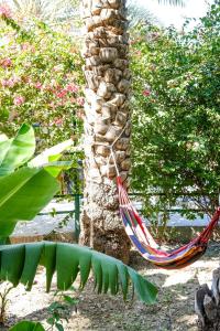 Foto dalla galleria di Nature House a Al Ḩamrāʼ