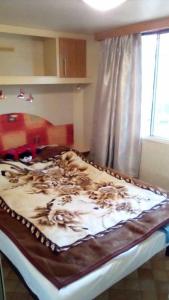 Un pat sau paturi într-o cameră la Camping Jackson +8 fotografii