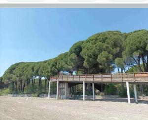 Imagine din galeria proprietății Camping Jackson în Grado