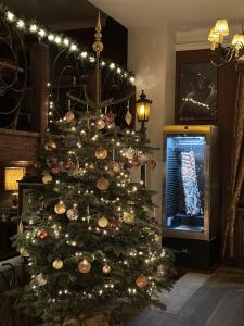 Fotografie z fotogalerie ubytování Willa Spa Scaliano v destinaci Kudowa-Zdrój + 91 fotografií