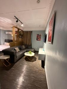 a living room with a couch and a bed at Big Studio Unit in Lekki phase 1 - Kitchen, Washer, 24-7 light, WiFi & Netflix in Lagos