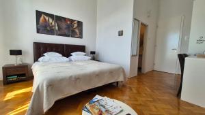 Postel nebo postele na pokoji v ubytování Rooms Tisa Old Town