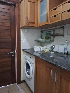 a kitchen with a washing machine and a sink at JV Jardin du Cap in Bain Boeuf