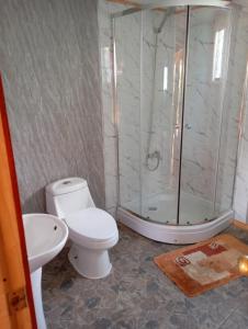 a bathroom with a shower and a toilet and a sink at Cabañas a orillas de rio in Hornopiren