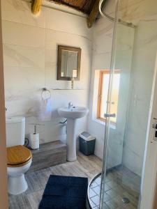 un bagno con lavandino, WC e doccia di At Sea, Melkbosstrand a Melkbosstrand