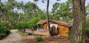 a small cabin with a porch in a forest at CHALET B NATURISTe MAEVA in Le Porge