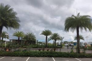 Zahrada ubytování CHAME VIBES Apartamento PB en Playa Caracol Chame