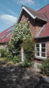 Taman di luar Birkenhof