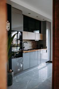 Kuchyňa alebo kuchynka v ubytovaní Apartament Madlen Art