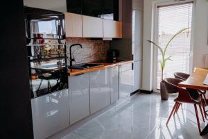 Kuchyňa alebo kuchynka v ubytovaní Apartament Madlen Art