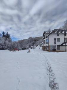 Το Zlatarska dolina τον χειμώνα