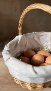a basket of eggs sitting on a table at Gîte La Grange de Pardies Classé 2 étoiles in Orthevielle +45 photos