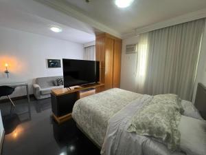 TV a/nebo společenská místnost v ubytování Flat Piemonte