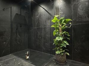 baño con ducha y maceta en Church Barn House, Wadworth, en Wadworth 9 fotos más