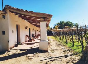 an outside view of a building with vines at Alojamiento FINCA ENCANTO DEL VALLE in Cafayate +13 photos