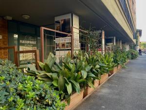 een rij planten voor een winkel bij La Maison de Fuecopared in Florence