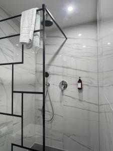a bathroom with a shower with a glass door at Nice City Apartment in Nürnberg