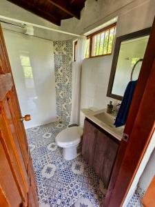 a bathroom with a toilet and a sink and a mirror at Tranquilidad y Naturaleza Cabaña Concepción in Concepción +15 photos