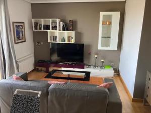 TV a/nebo společenská místnost v ubytování Atico, Piscina, AC, WI-FI y Parking Gratis, Gran Terraza, VUT 47-79