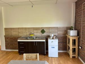 乔斯马拉尔Ñireco 1的厨房里有水槽和炉灶。 上层烤箱